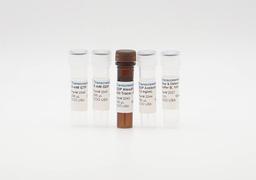 Transcreener® GDP GTPase Assays - BellBrook Labs - Drug Discovery & Development