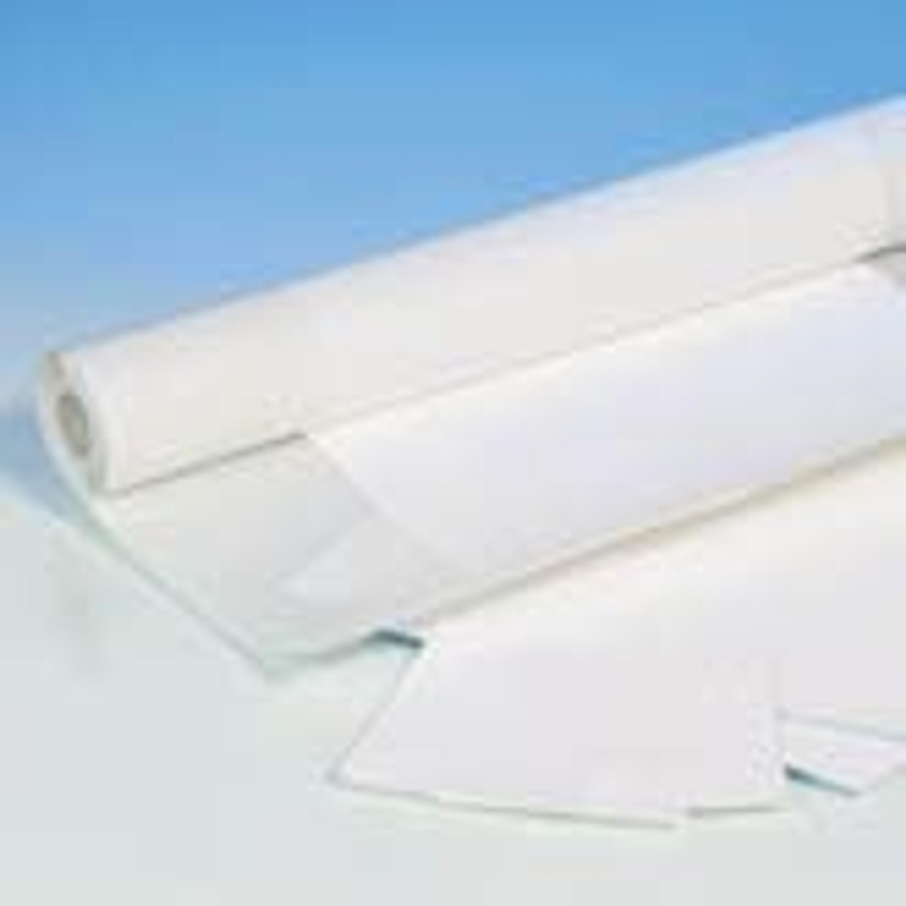 Biodyne® Nylon Transfer Membranes - Pall Life Sciences - Laboratory, Food, Beverage - Life Sciences