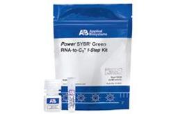 Power SYBR® Green RNA-to-CT™ 1-Step Kit - Thermo Fisher Scientific - Life Sciences