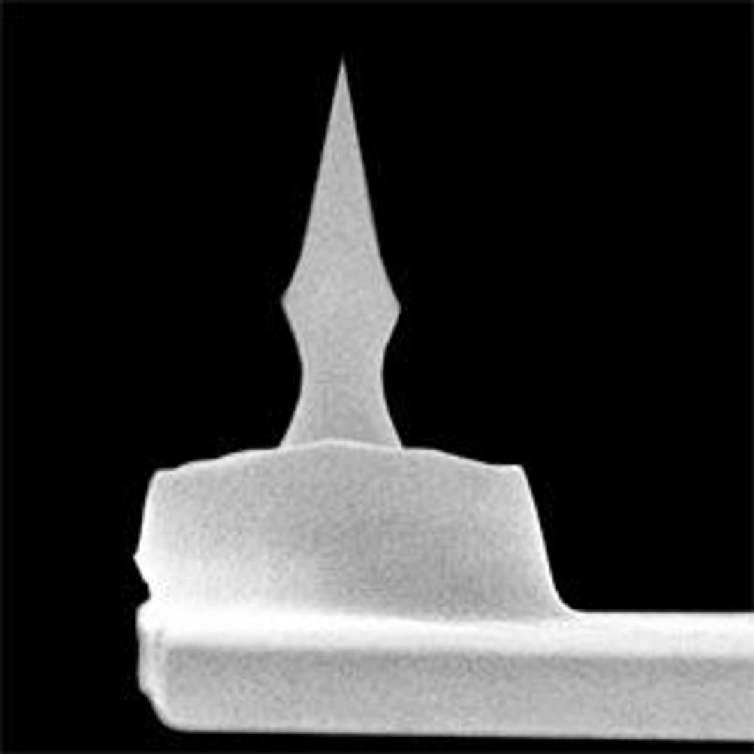 HA_NC Etalon AFM Mode Contact Probe - K-TEK Nanotechnology - Life Sciences