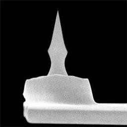 HA_NC Etalon AFM Mode Contact Probe - K-TEK Nanotechnology - Life Sciences