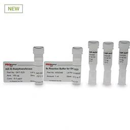 Glycosyltransferases - Agilent Technologies - Life Sciences