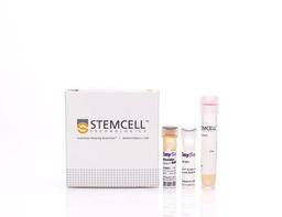EasySep™ Mouse Streptavidin RapidSpheres™ Isolation Kit - STEMCELL Technologies Inc. - Life Sciences