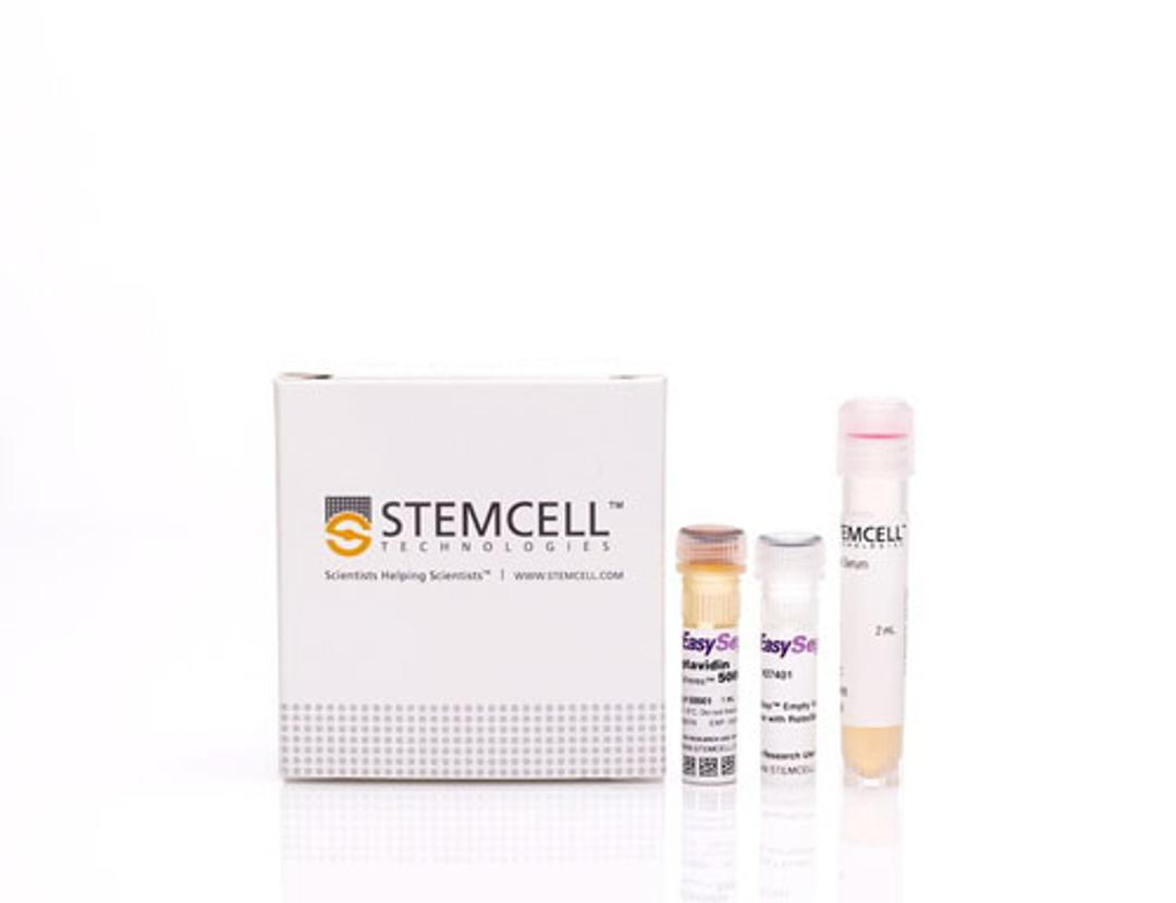 EasySep™ Mouse Streptavidin RapidSpheres™ Isolation Kit - STEMCELL Technologies Inc. - Life Sciences