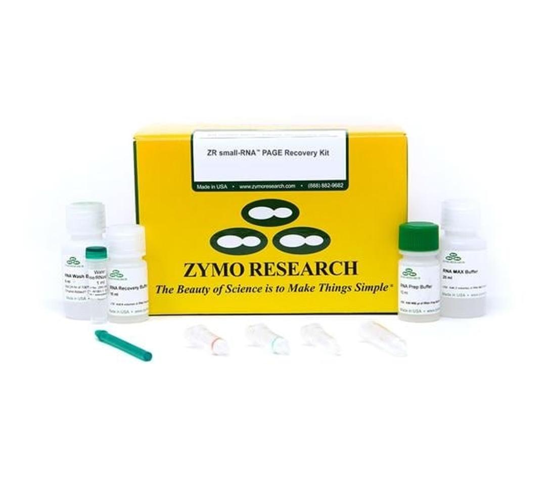 ZR small-RNA PAGE Recovery Kit - Zymo Research - Life Sciences