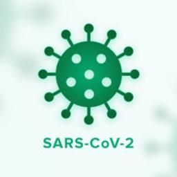 Twist SARS-CoV-2 Research Panel Kit (2, 12, or 96 reactions) - Twist Bioscience - Life Sciences