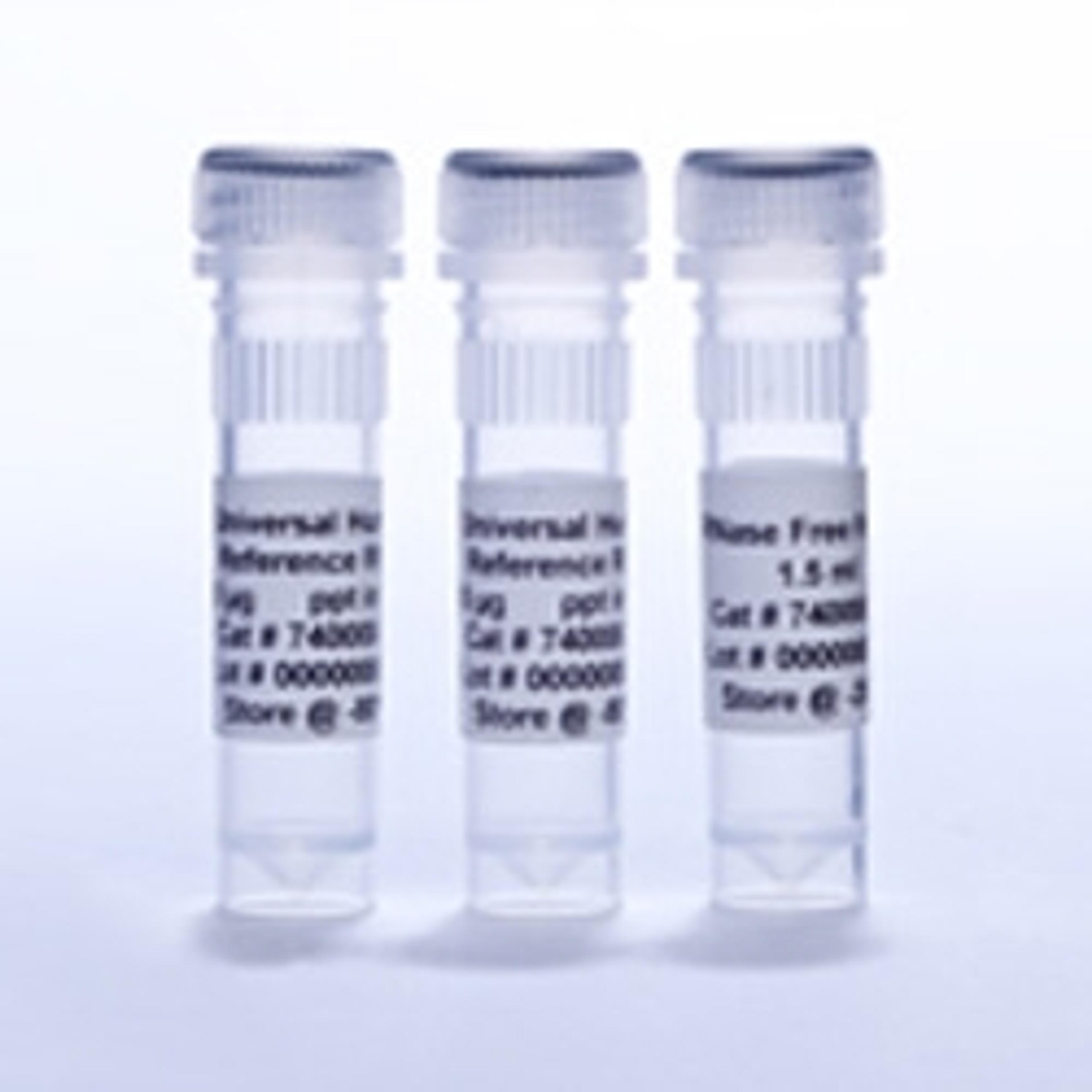 Universal Rat Reference RNA - Agilent Technologies - Life Sciences