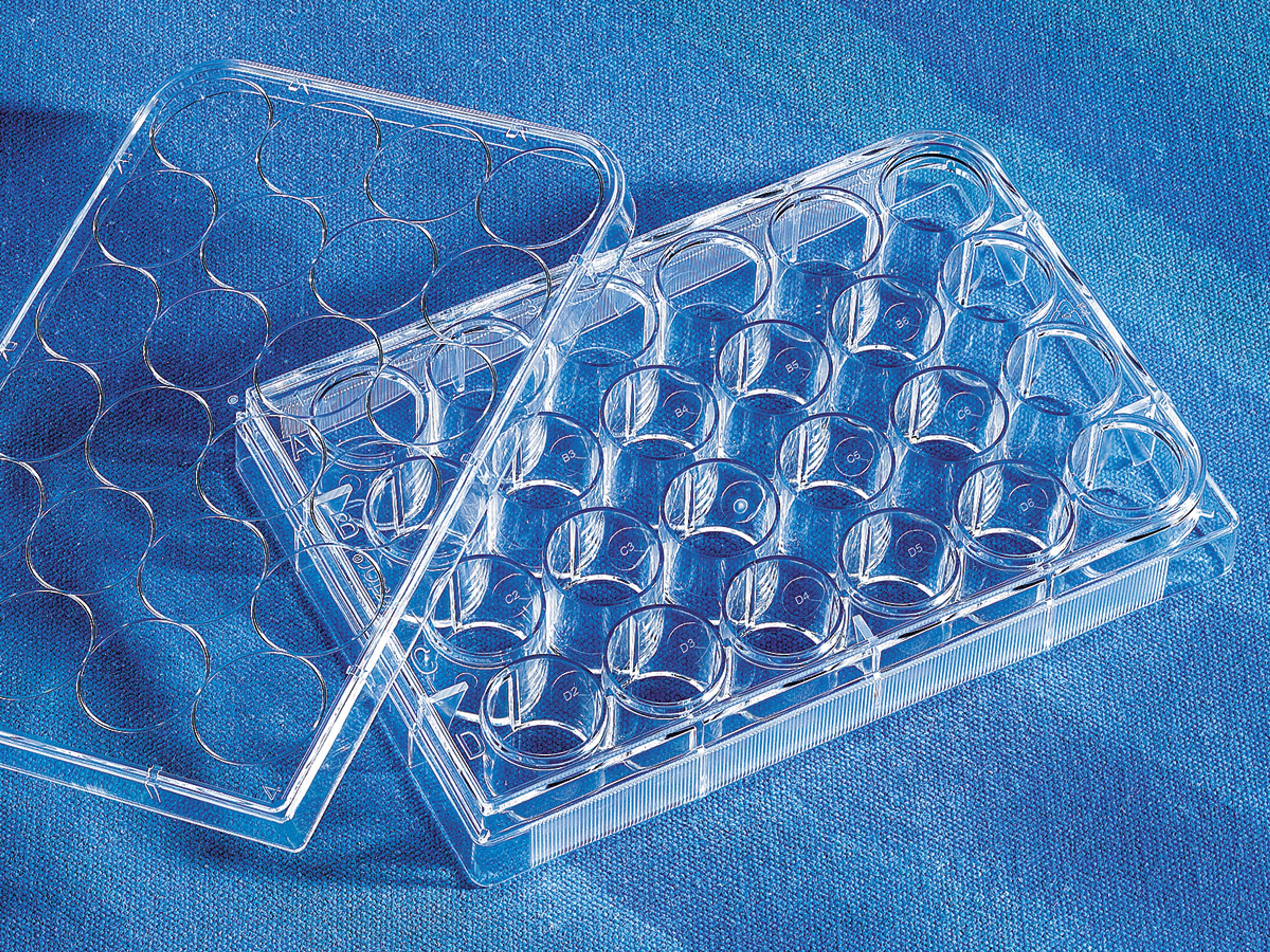 Costar® 24-well Clear TC-treated Multiple Well Plates, Individually Wrapped, Sterile - Corning Life Sciences - Life Sciences