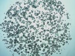 Gastrointestinal Organoid Biobank - Merck - Life Sciences