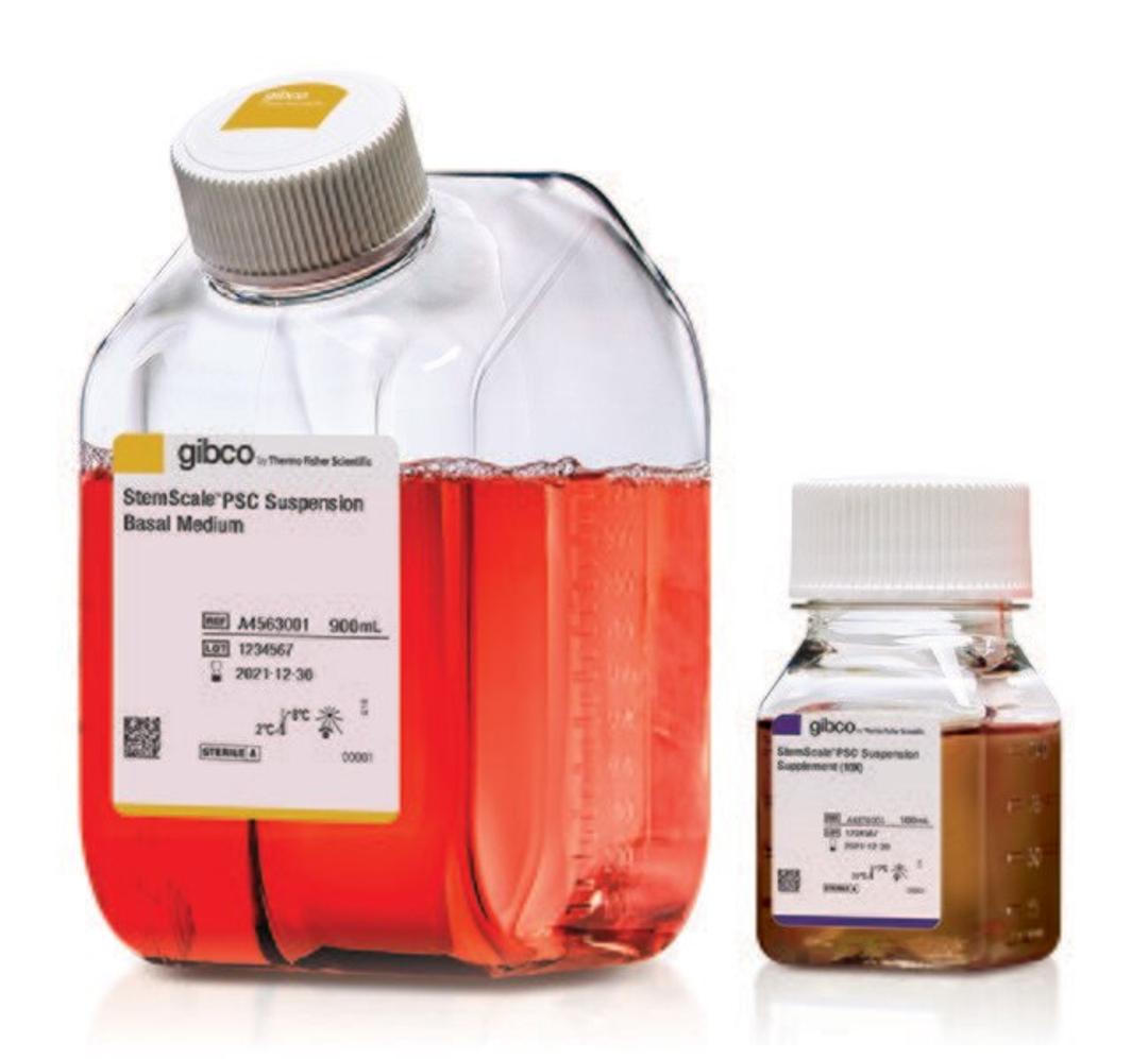 Gibco™ StemScale™ PSC Suspension Medium - Thermo Fisher Scientific