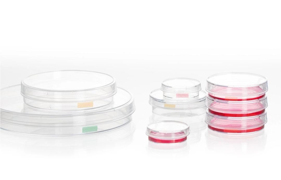 Tissue culture dishes - SARSTEDT AG - Life Sciences