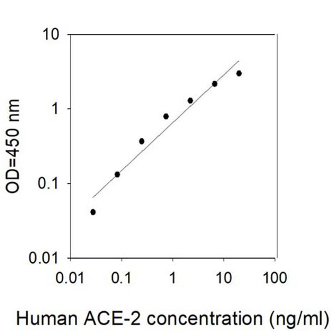 Human ACE-2 ELISA - RayBiotech Inc. - Life Sciences