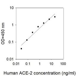 Human ACE-2 ELISA - RayBiotech Inc. - Life Sciences