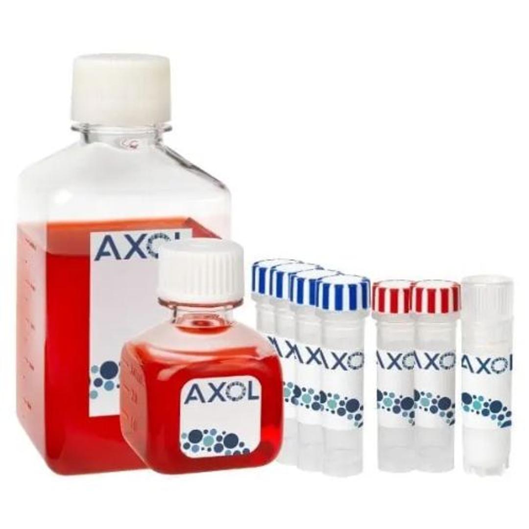 axoCells™ Human iPSC-Derived Sensory Neuron Cells, Media, Supplement and Coating kit, male donor, ≥0.5M cells - Axol Bioscience - Life Sciences