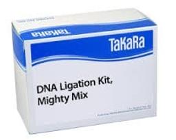 DNA Ligation Kit Mighty Mix - Takara Bio - Life Sciences