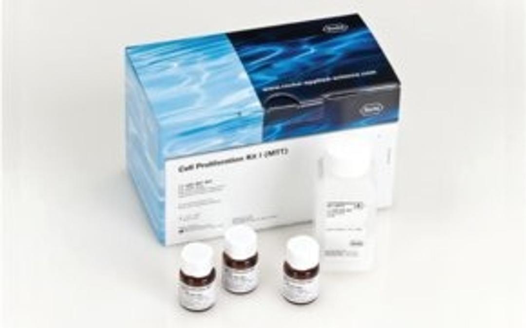 Cell Proliferation Kit I (MTT) - Merck - Life Sciences