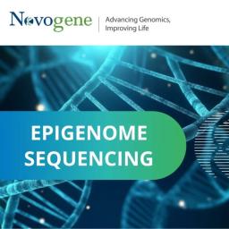 Epigenome sequencing - Novogene - Life Sciences