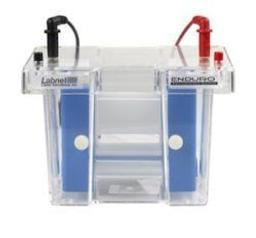 Enduro Vertical Electrophoresis Systems - Labnet International