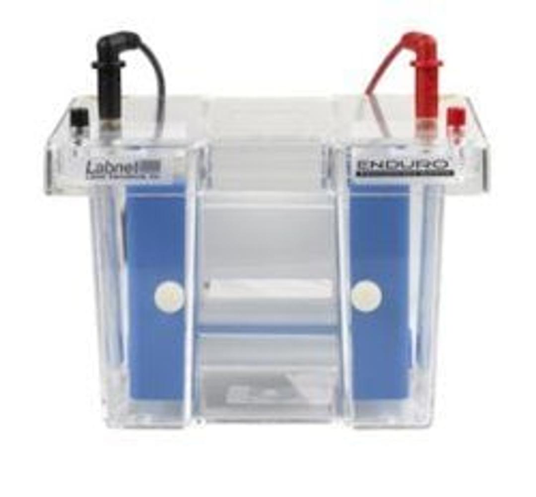 Enduro Vertical Electrophoresis Systems - Labnet International