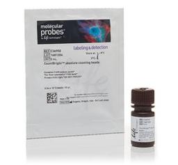Invitrogen™ CountBright™ Absolute Counting Beads - Thermo Fisher Scientific - Life Sciences