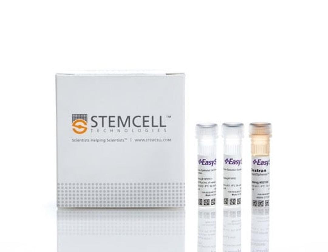 EasySep™ Mouse Epithelial Cell Enrichment Kit II - STEMCELL Technologies Inc. - Life Sciences