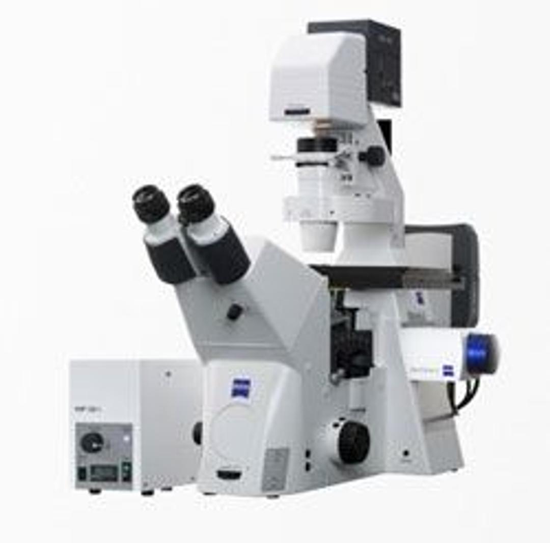 ZEISS Axio Observer for Life Science Research (eom) - ZEISS Research Microscopy Solutions - Life Sciences