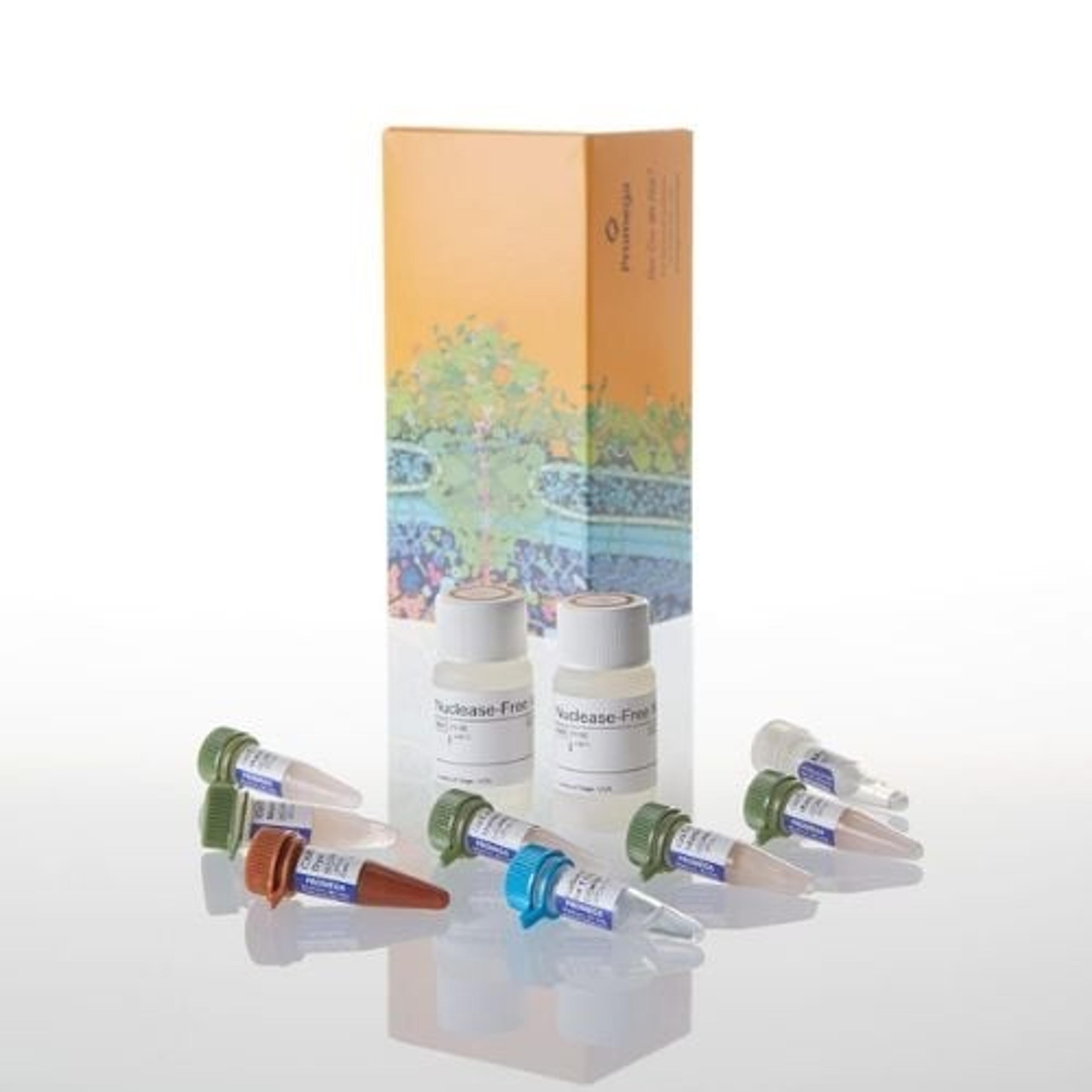 GoTaq® 1-Step RT-qPCR System - Promega Corp. - Life Sciences