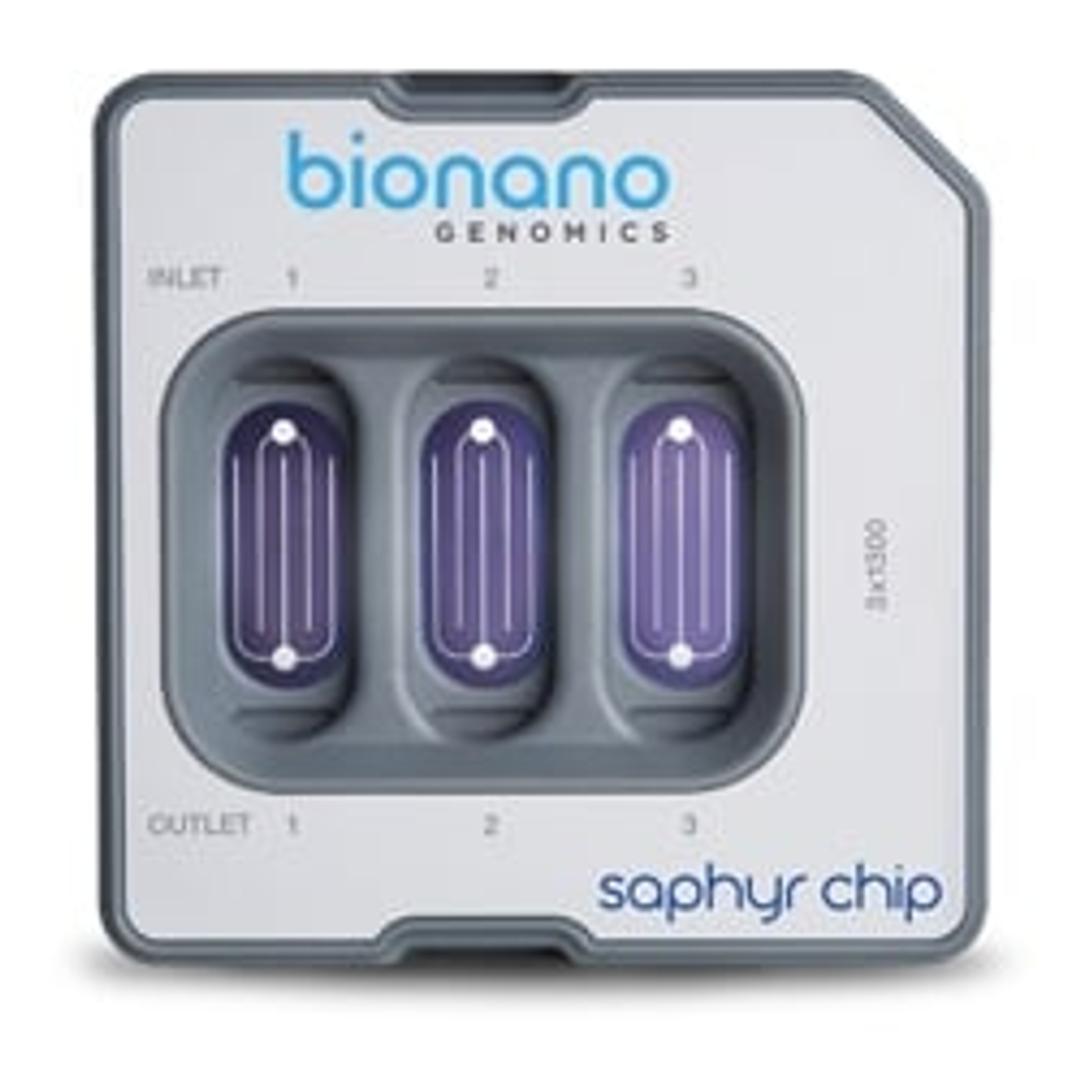 Saphyr Chip® - Bionano Genomics - Life Sciences