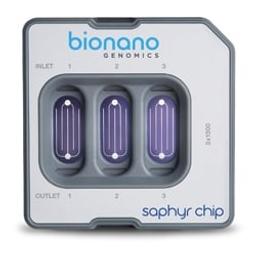 Saphyr Chip® - Bionano Genomics - Life Sciences