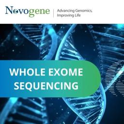 Whole exome sequencing - Novogene - Life Sciences