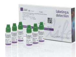 Flow Cytometry Sub-micron Particle Size Reference Kit - Thermo Fisher Scientific - Life Sciences