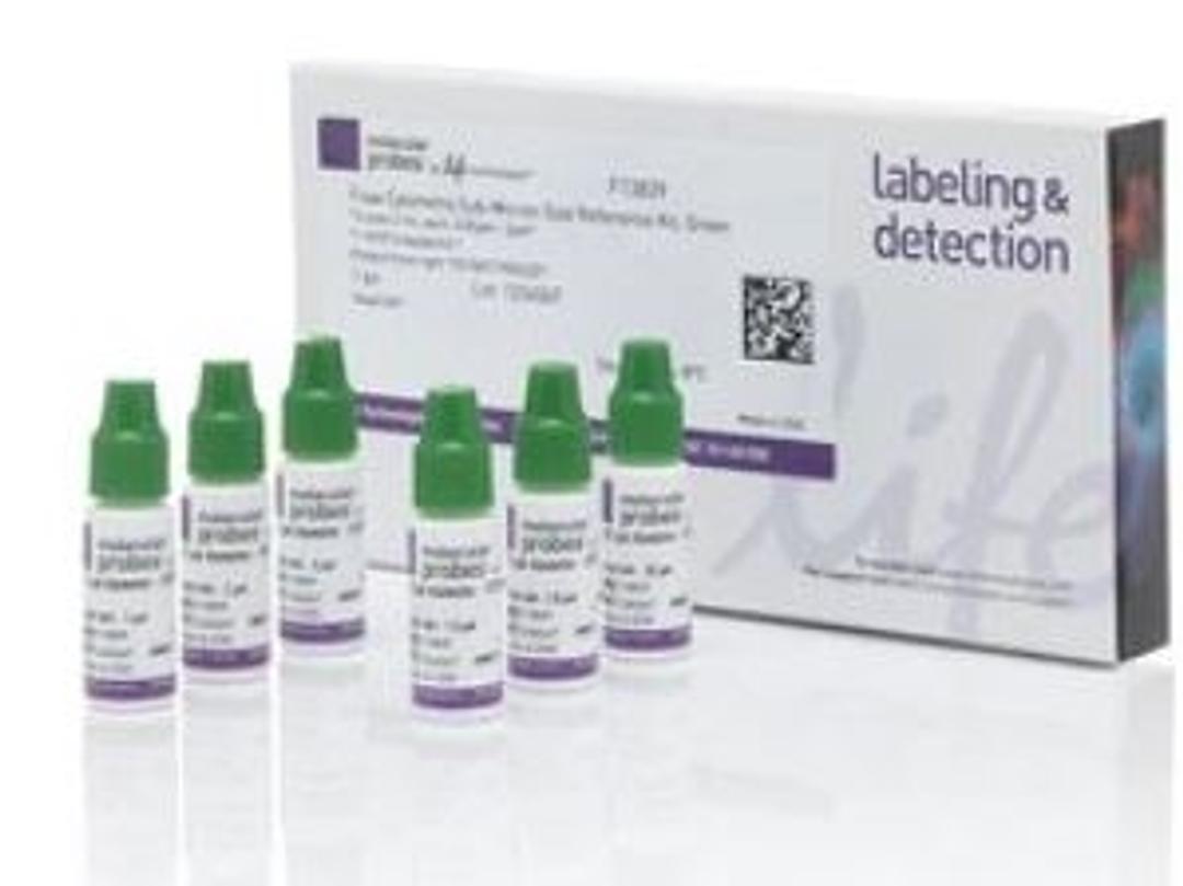 Flow Cytometry Sub-micron Particle Size Reference Kit - Thermo Fisher Scientific - Life Sciences