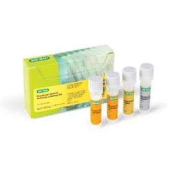 ReadiLink 594/610 Antibody Labeling Kit - Bio-Rad - Life Sciences