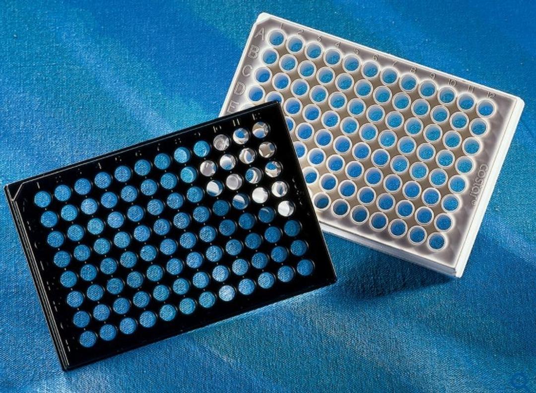 Corning® 96-well Flat Clear Bottom Black Polystyrene TC-treated Microplates, with Lid, Sterile - Corning Life Sciences - Life Sciences