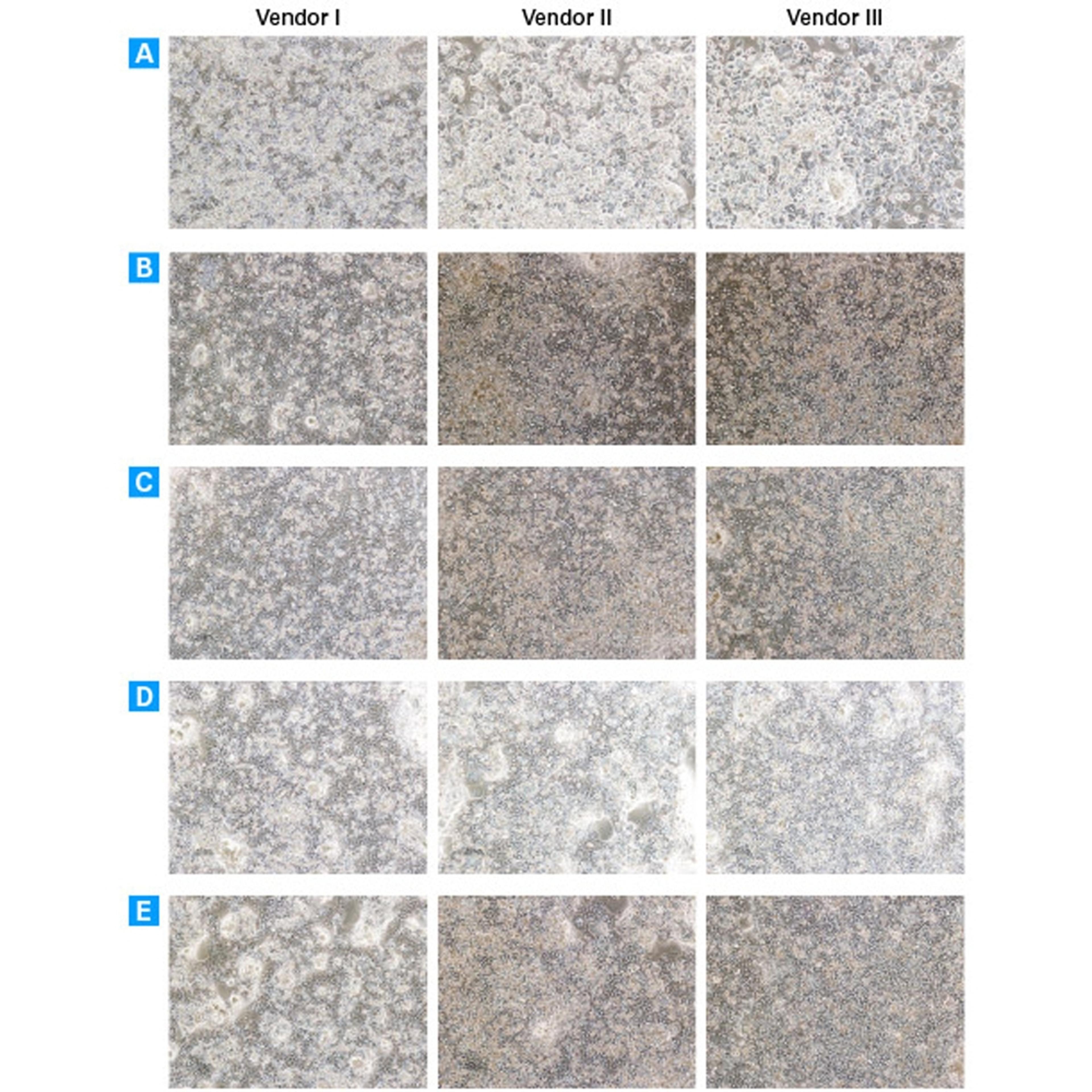 Cellartis® Power™ Primary HEP Medium - Takara Bio