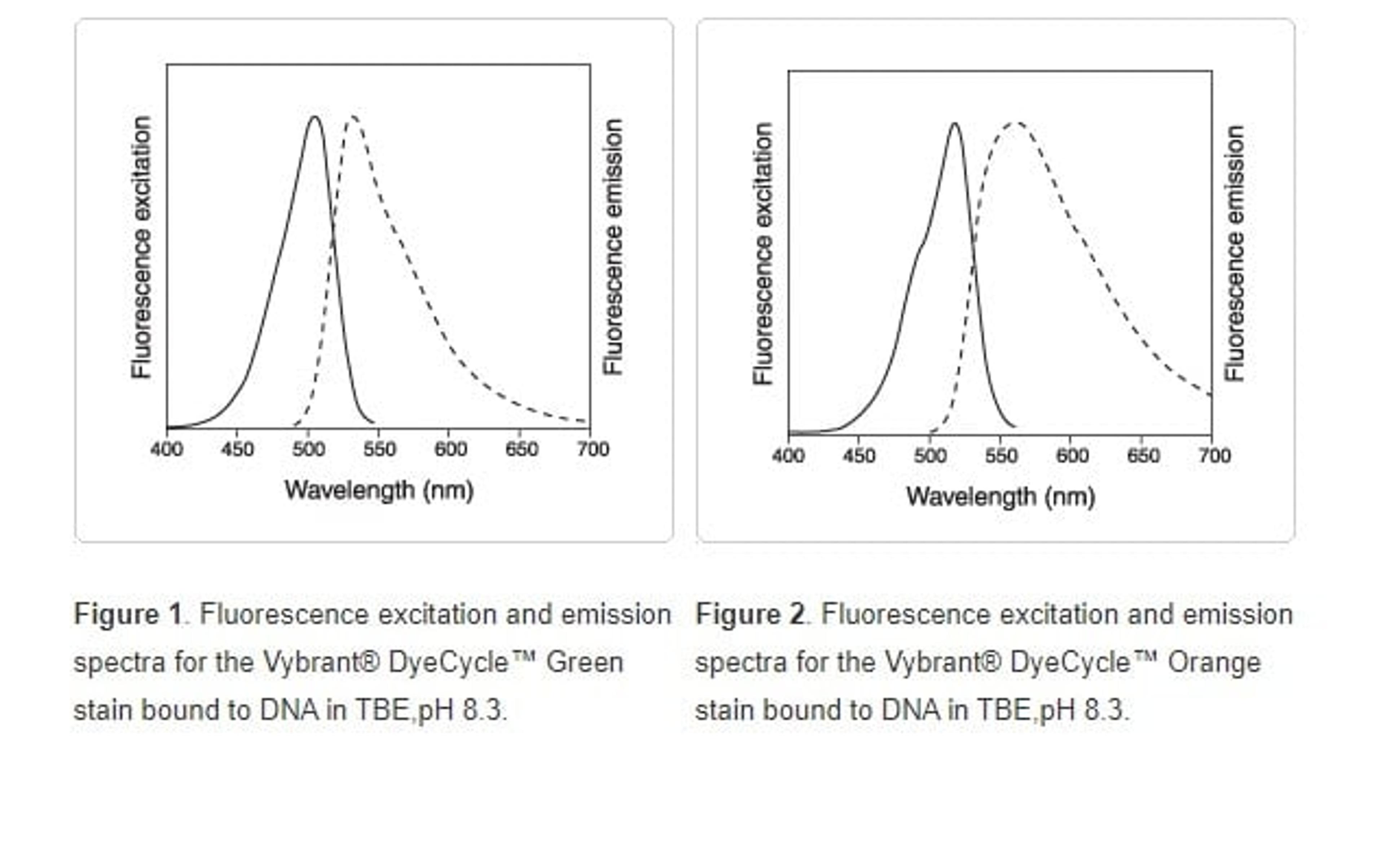 Vybrant DyeCycle™ Green and Orange Stains - Thermo Fisher Scientific - Life Sciences