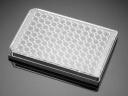 Corning® PureCoat™ Amine 96-well Black/Clear Flat Bottom Plate, 5/Pack, 50/Case - Corning Life Sciences - Life Sciences