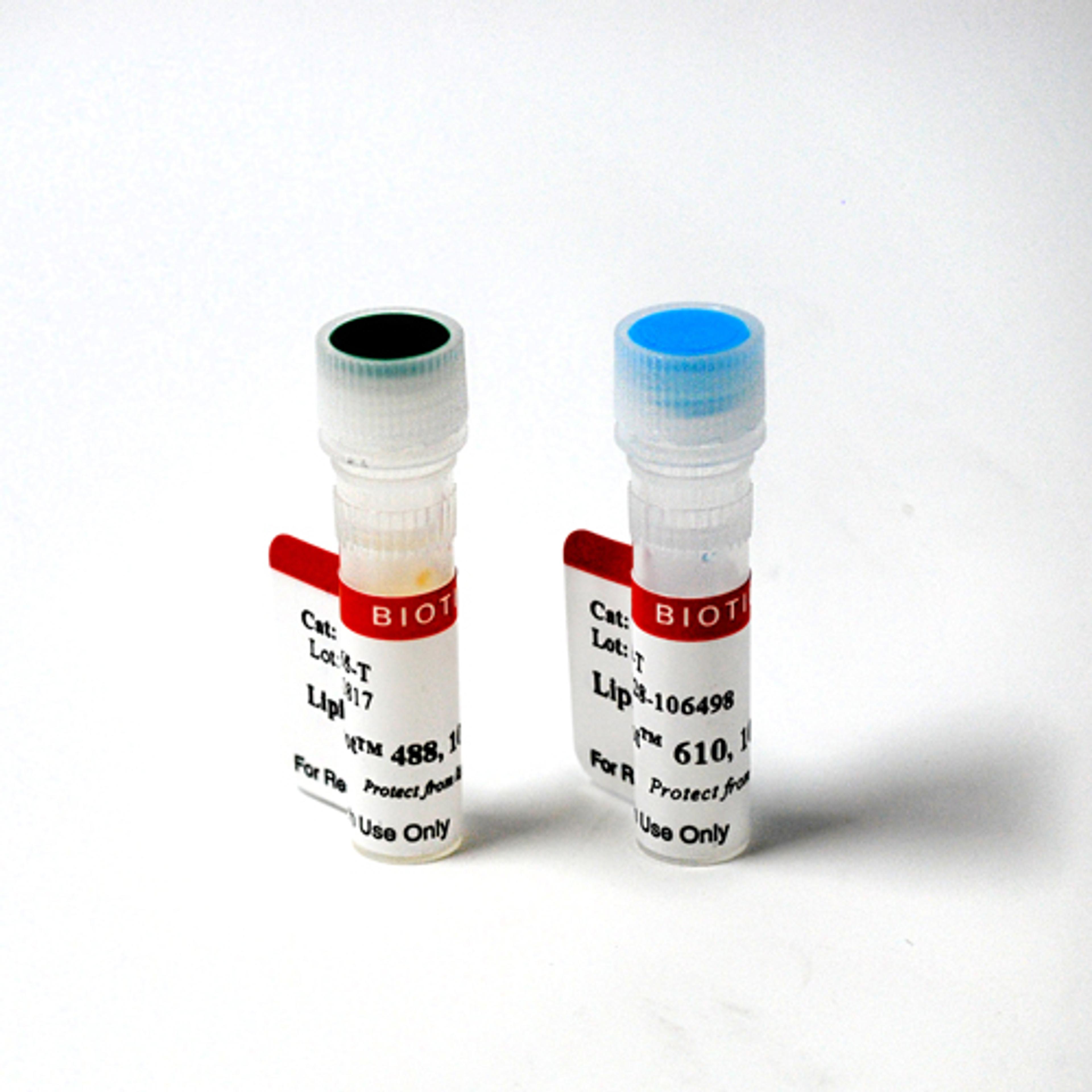 LipidSpot™ Lipid Droplet Stains - Biotium - Life Sciences