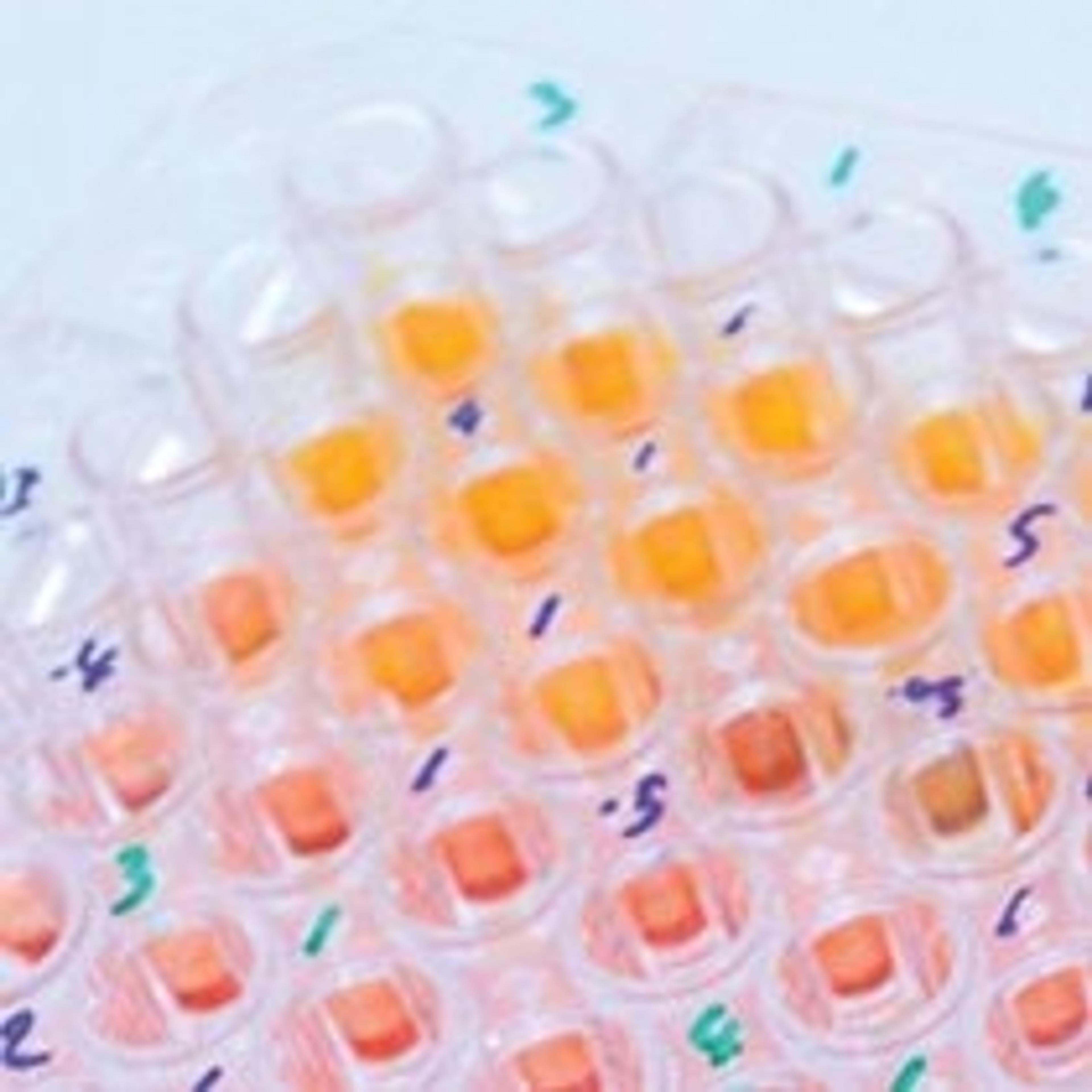 Assay Kits & ELISAs - Alpha Laboratories Ltd - Life Sciences