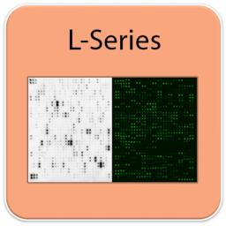 Human Protein S-Acylation Array G1 - RayBiotech Inc. - Life Sciences