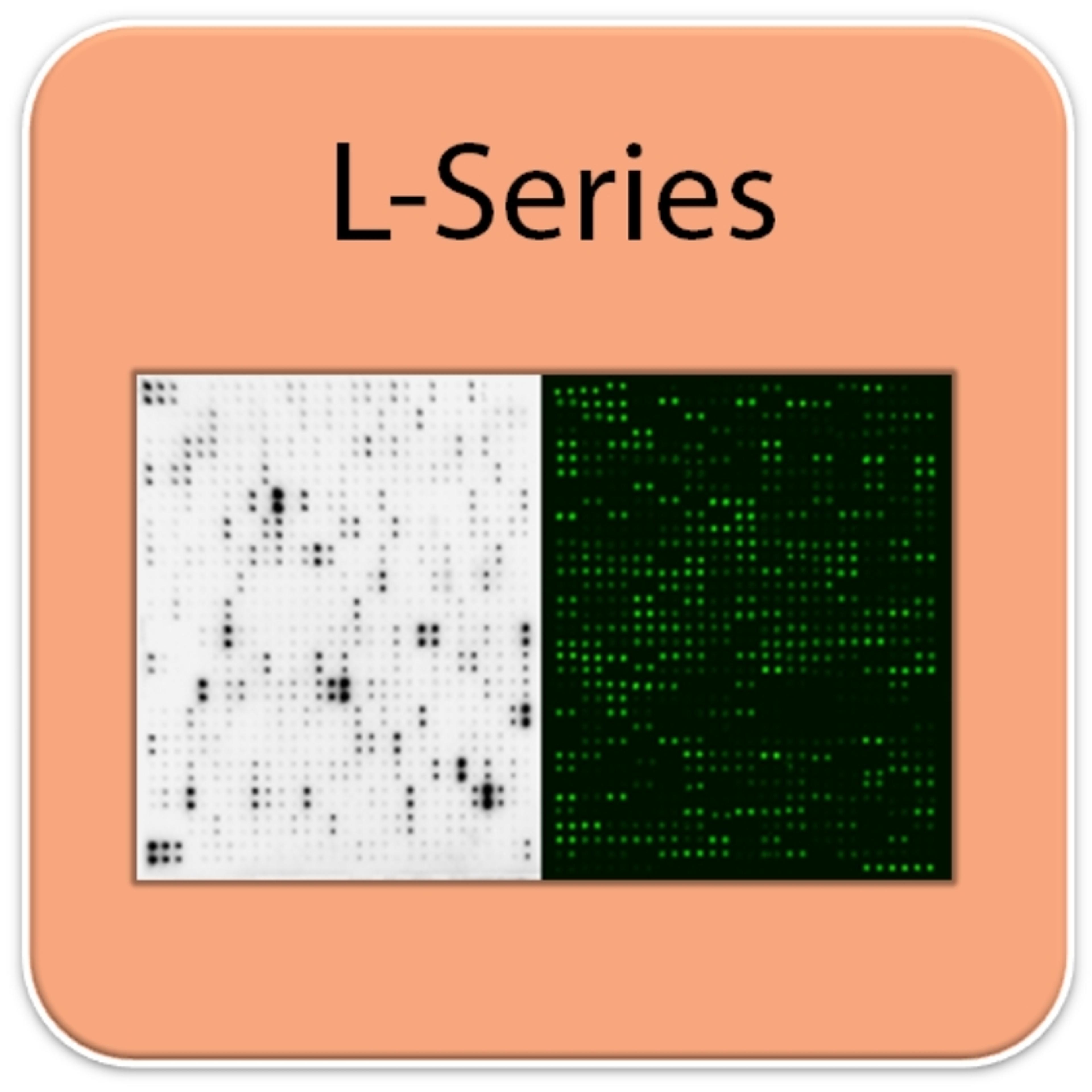 Human Protein S-Acylation Array G1 - RayBiotech Inc. - Life Sciences