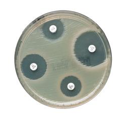 Image of the Thermo Scientific™ Oxoid™ Aztreonam-Avibactam Antimicrobial Susceptibility Discs