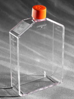 Corning® 225 cm² Angled Neck Cell Culture Flask with Vent Cap - Corning Life Sciences