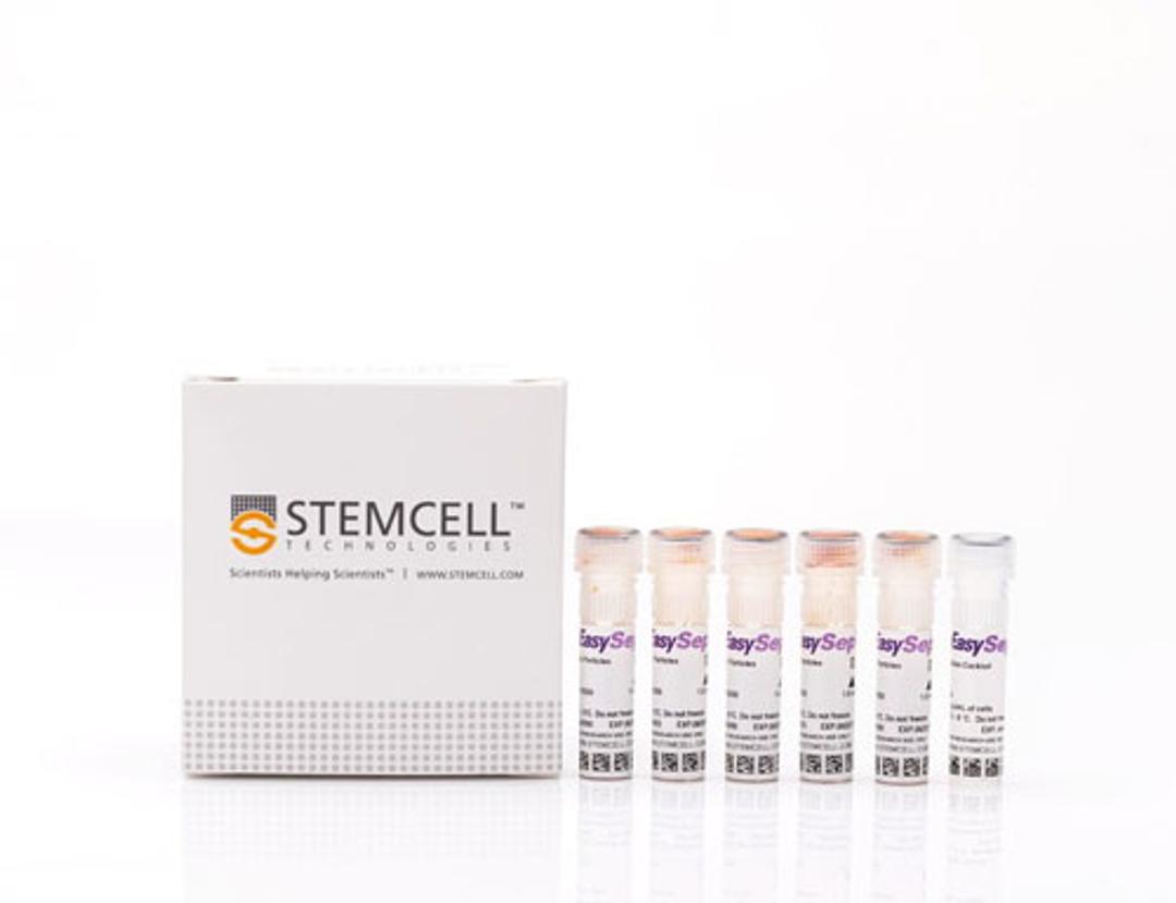 EasySep™ Human Naïve B Cell Enrichment Kit - STEMCELL Technologies Inc. - Life Sciences