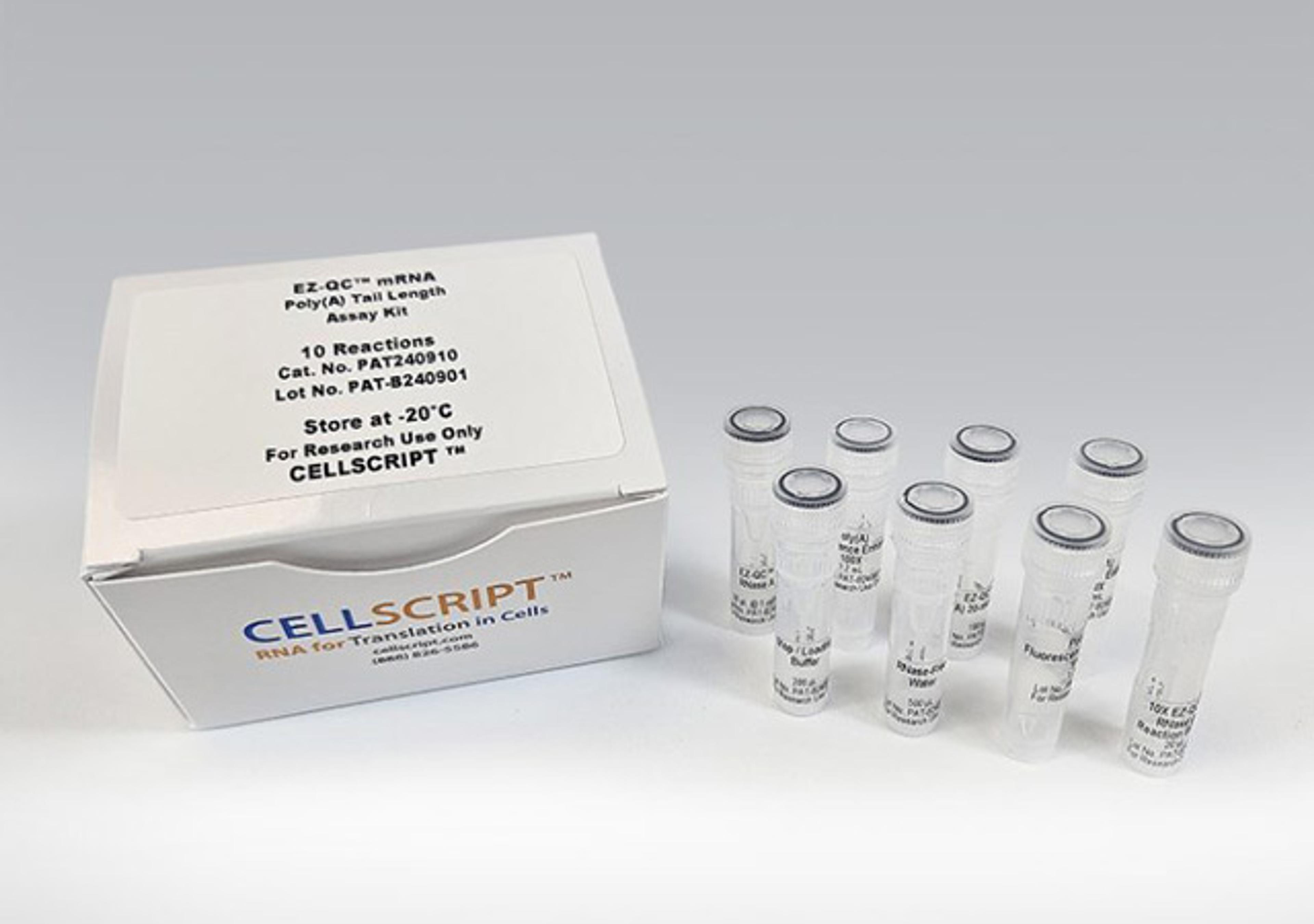 EZ-QC™ mRNA Poly(A) Tail Length Assay Kit - CELLSCRIPT™ - Life Sciences