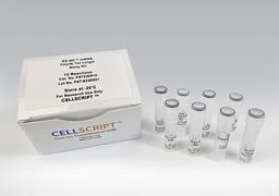 EZ-QC™ mRNA Poly(A) Tail Length Assay Kit - CELLSCRIPT™ - Life Sciences
