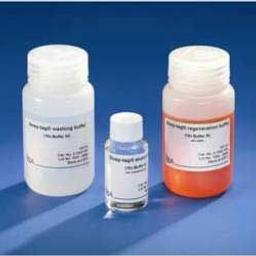 Strep-tag® Protein Purification Buffer Set - IBA BioTAGnology