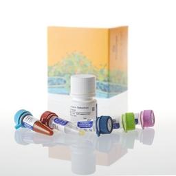 Glucose-Glo® Assay - Promega Corp. - Life Sciences