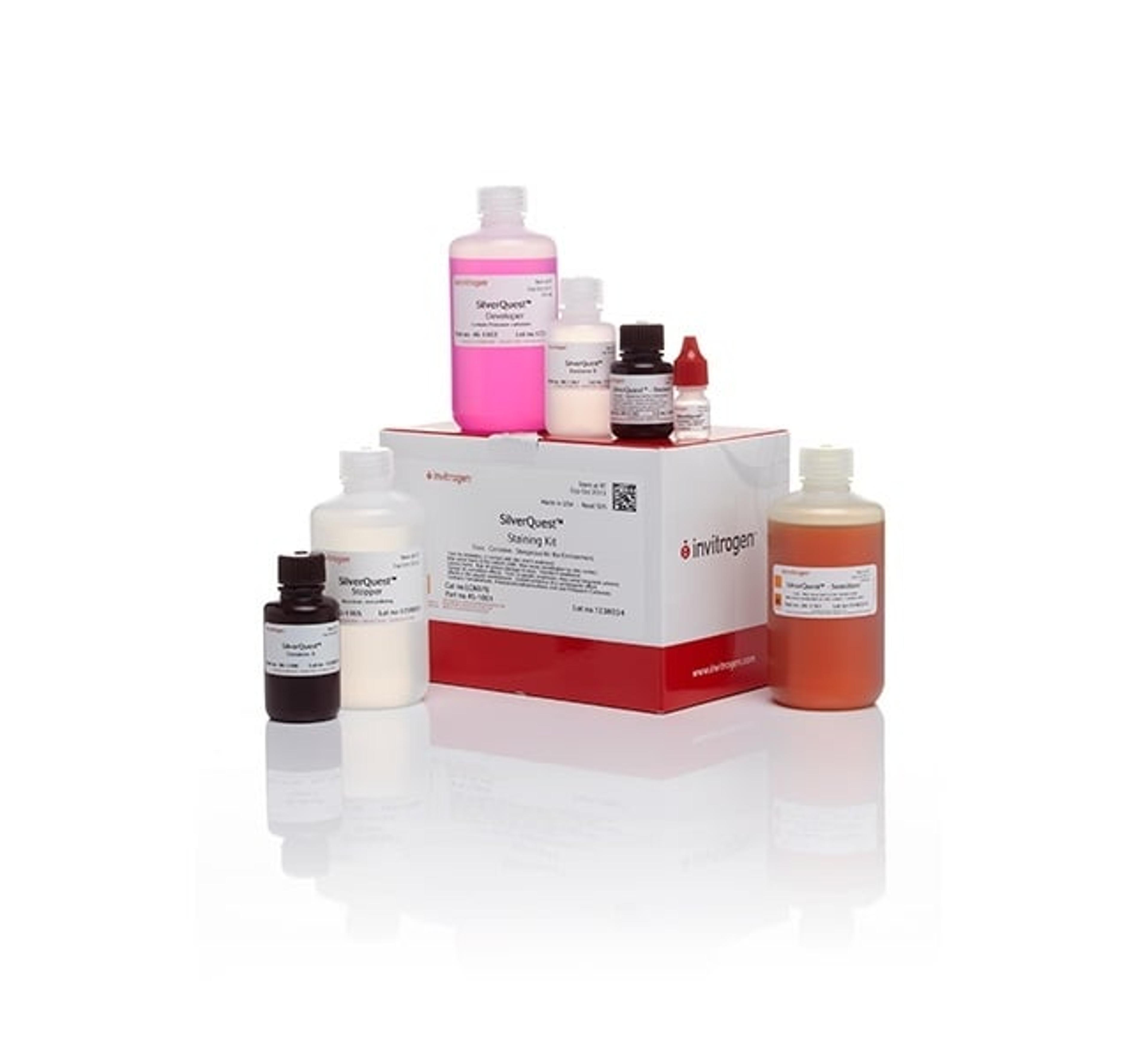 SilverQuest™ Silver Staining Kit - Thermo Fisher Scientific - Separations
