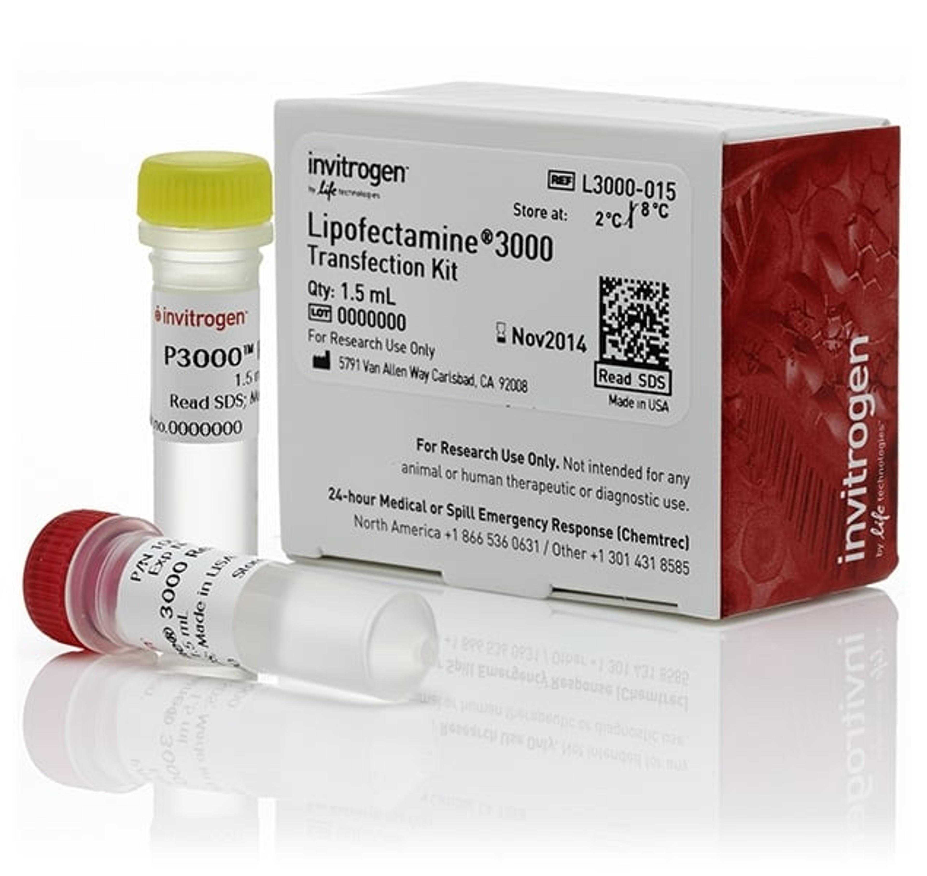 Invitrogen™ Lipofectamine® 3000 Transfection Reagent (1.5 mL) - Thermo Fisher Scientific - Life Sciences